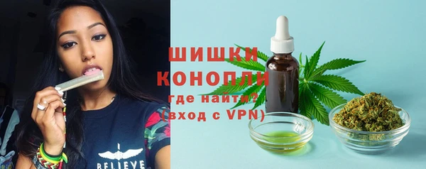 дмт Балахна
