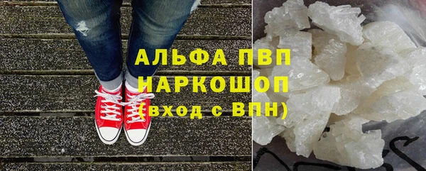 молекула духа Аркадак