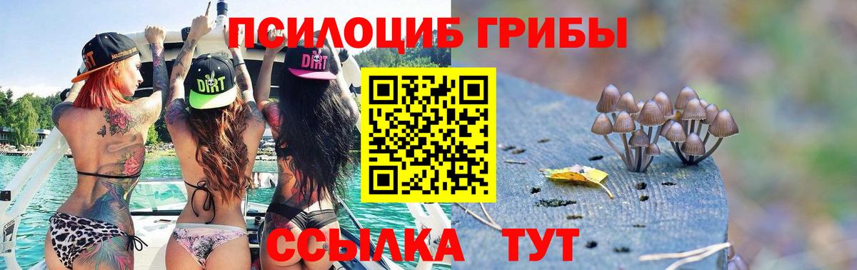 Междуреченск  Псилоцибиновые грибы MAGIC MUSHROOMS  Галлюциногенные грибы Magic Shrooms  Вход с VPN 
